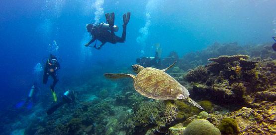 Potápění na Bali