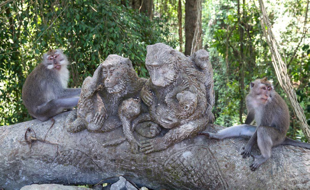 Exotické Bali, komodské draky a pôvodný Flores