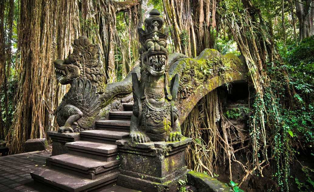 Veľká Indonézska cesta - Bali, Jáva, komodské draky a orangutani na Sumatre