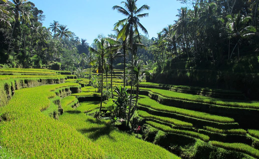 Príroda a chrámy Bali