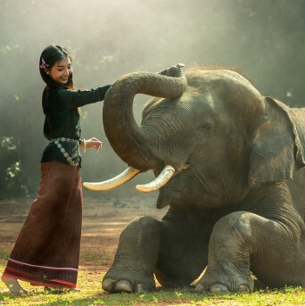 Sloni na Bali